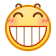 表情[ciya]-My WordPress